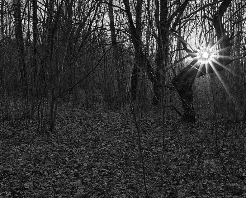 Иллюстрация к книге — Вокруг света [i_138.jpg]