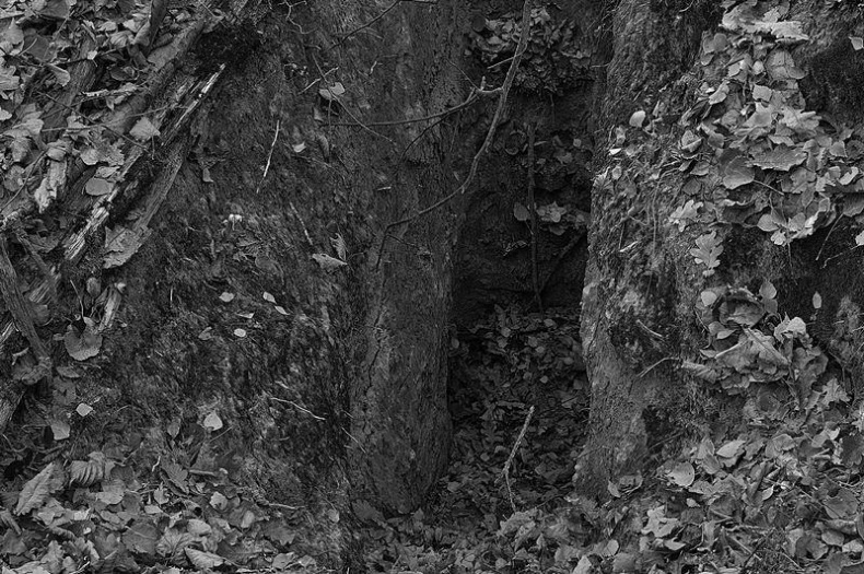 Иллюстрация к книге — Вокруг света [i_141.jpg]