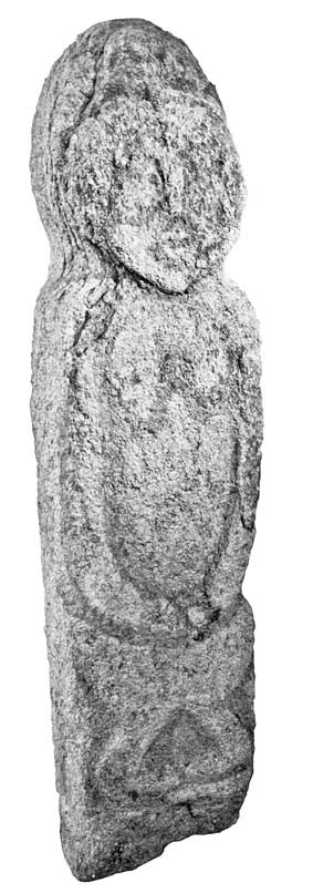 Иллюстрация к книге — Вилы [i_002.jpg]