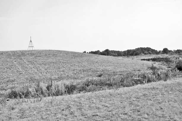 Иллюстрация к книге — Вилы [i_003.jpg]