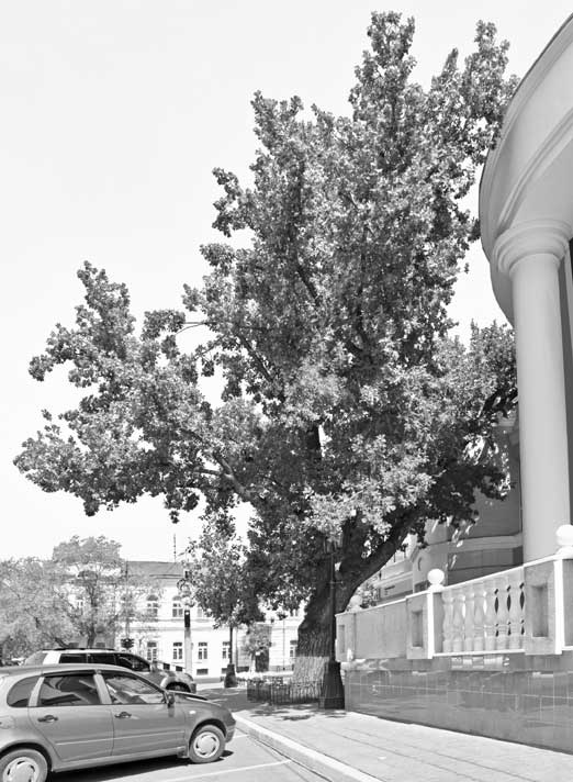 Иллюстрация к книге — Вилы [i_005.jpg]