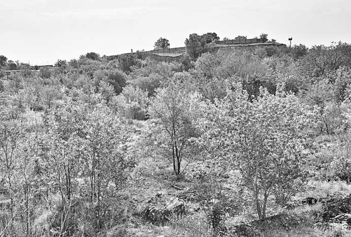 Иллюстрация к книге — Вилы [i_022.jpg]