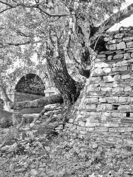 Иллюстрация к книге — Вилы [i_049.jpg]