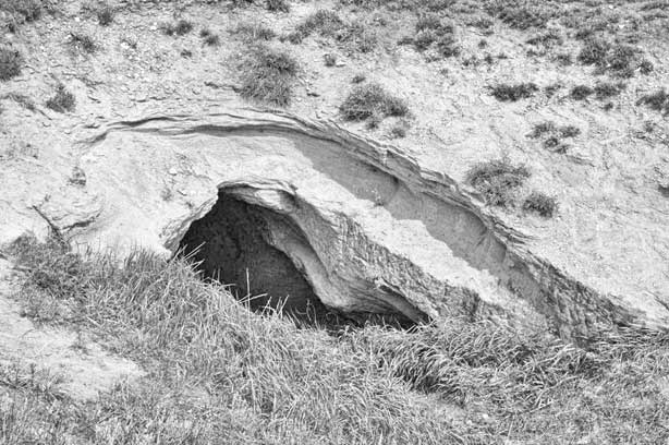 Иллюстрация к книге — Вилы [i_051.jpg]