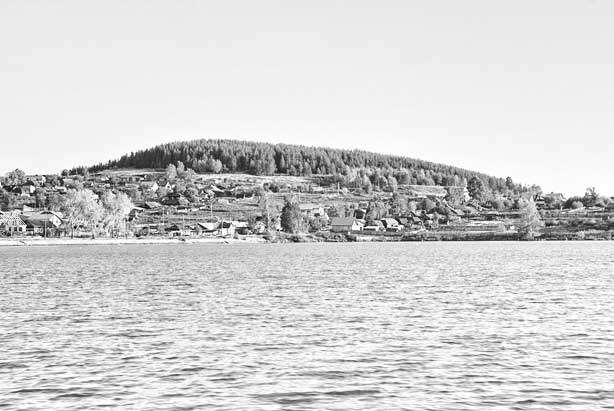 Иллюстрация к книге — Вилы [i_055.jpg]