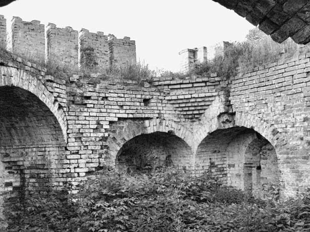 Иллюстрация к книге — Вилы [i_060.jpg]