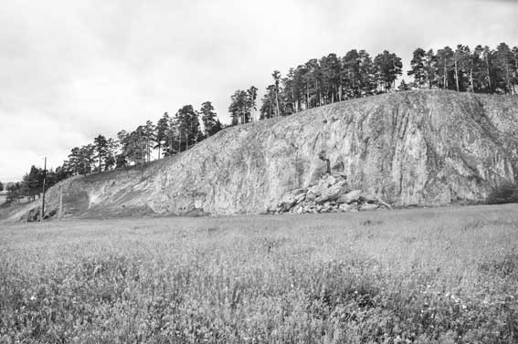 Иллюстрация к книге — Вилы [i_068.jpg]