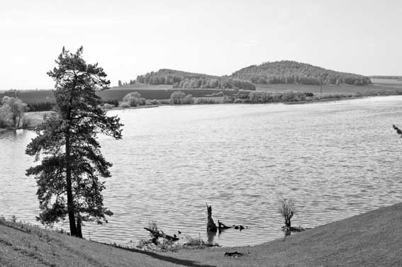 Иллюстрация к книге — Вилы [i_079.jpg]