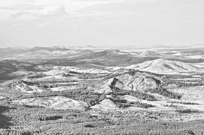 Иллюстрация к книге — Вилы [i_089.jpg]