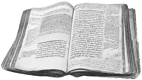 Иллюстрация к книге — Вилы [i_107.jpg]