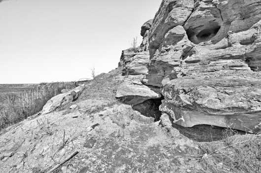 Иллюстрация к книге — Вилы [i_111.jpg]