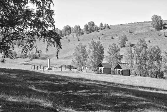 Иллюстрация к книге — Вилы [i_116.jpg]