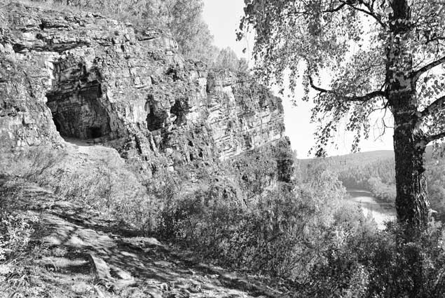 Иллюстрация к книге — Вилы [i_129.jpg]