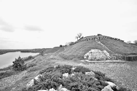 Иллюстрация к книге — Вилы [i_145.jpg]