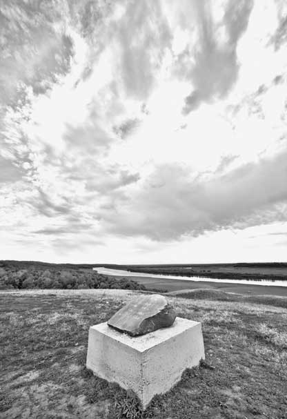 Иллюстрация к книге — Вилы [i_154.jpg]