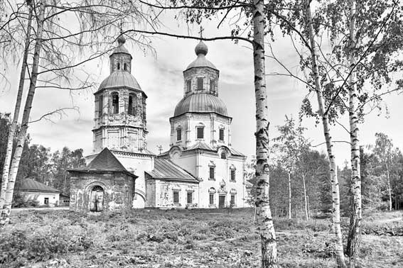 Иллюстрация к книге — Вилы [i_155.jpg]