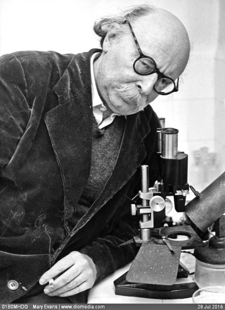 Иллюстрация к книге — Тайны неизвестных цивилизаций [i_013.jpg]