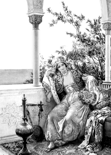 Иллюстрация к книге — Ночь в гареме, или Тайна Золотых масок [i_003.jpg]