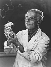 Иллюстрация к книге — Прирожденный лжец. Я или ты? [pic_26.jpg]