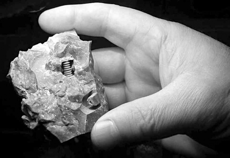 Иллюстрация к книге — 4-й рейх, или Грядущая раса Полой земли [i_004.jpg]