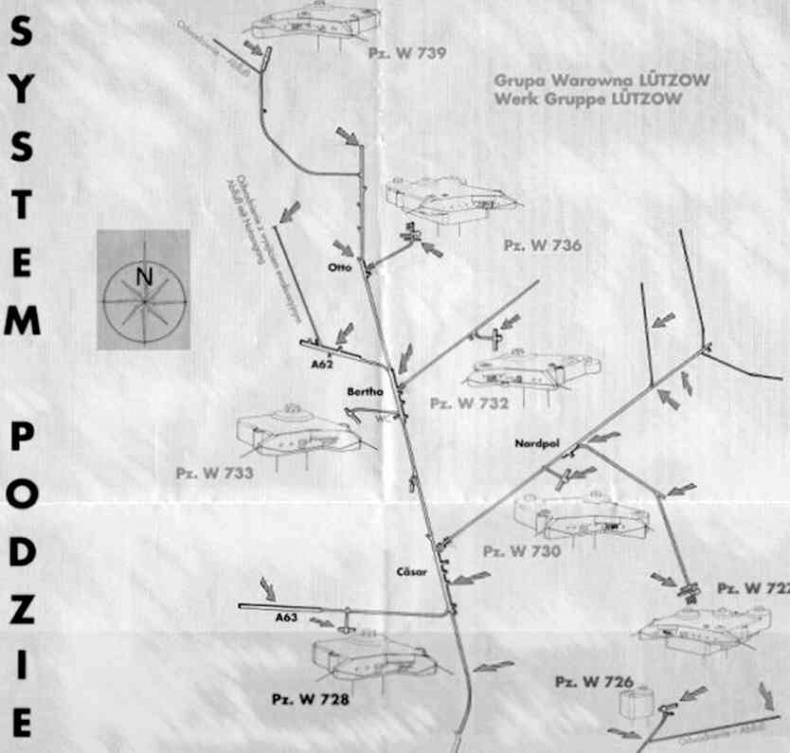 Иллюстрация к книге — 4-й рейх, или Грядущая раса Полой земли [i_113.jpg]