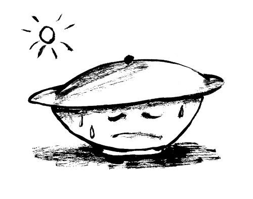 Иллюстрация к книге — Кулинарная книга оптимистки. Домашние рецепты и вкусные истории [i_004.jpg]