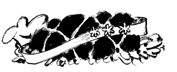 Иллюстрация к книге — Кулинарная книга оптимистки. Домашние рецепты и вкусные истории [i_024.jpg]