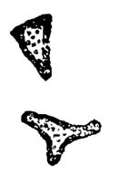 Иллюстрация к книге — Заколдованный замок. Сборник [_5.jpg]