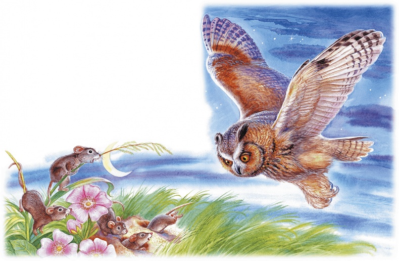 Иллюстрация к книге — Приключение Муравьишки (сборник) [i_004.jpg]