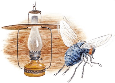 Иллюстрация к книге — Приключение Муравьишки (сборник) [i_009.jpg]