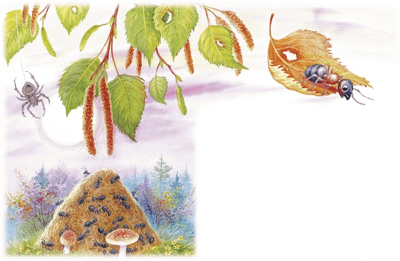 Иллюстрация к книге — Приключение Муравьишки (сборник) [i_019.jpg]