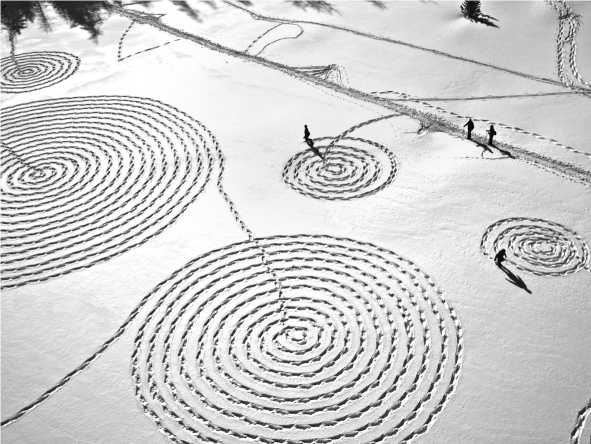 Иллюстрация к книге — Тайная война в космосе. Секретные технологии аномальных явлений [i_008.jpg]