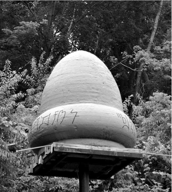 Иллюстрация к книге — Тайная война в космосе. Секретные технологии аномальных явлений [i_018.jpg]