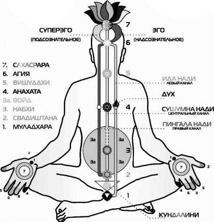 Иллюстрация к книге — Ключ к стройности [i_003.jpg]