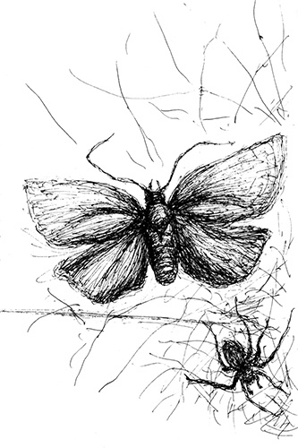 Иллюстрация к книге — Черная рука и пирамида Хеопса [i_013.jpg]