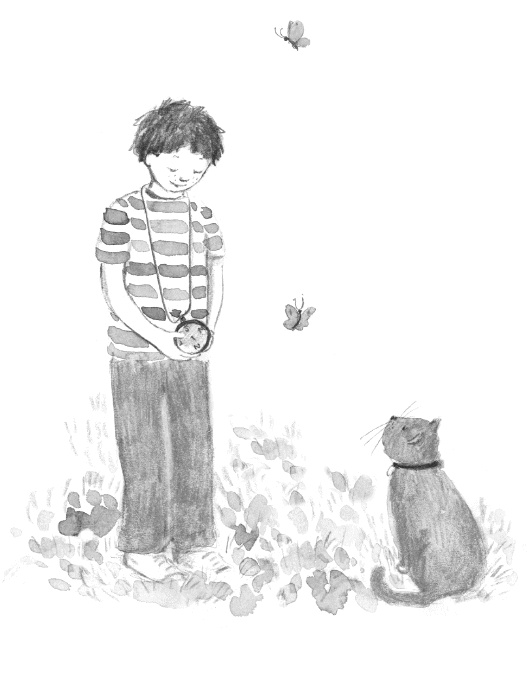 Иллюстрация к книге — Алфи. Все кувырком [i_041.jpg]