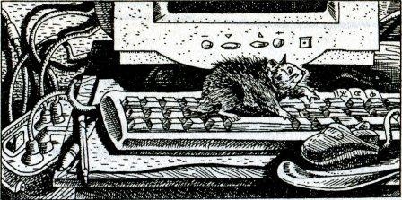 Иллюстрация к книге — Фредди и большой шурум-бурум [i_001.jpg]