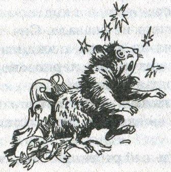 Иллюстрация к книге — Фредди и большой шурум-бурум [i_004.jpg]