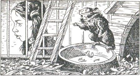 Иллюстрация к книге — Фредди и большой шурум-бурум [i_011.jpg]