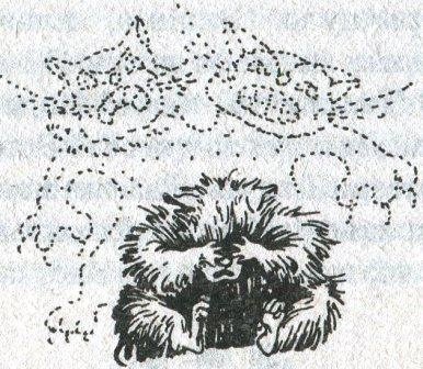 Иллюстрация к книге — Фредди и большой шурум-бурум [i_015.jpg]