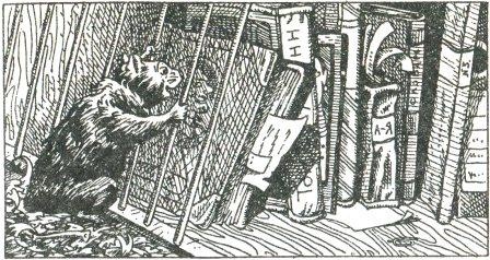 Иллюстрация к книге — Фредди и большой шурум-бурум [i_016.jpg]