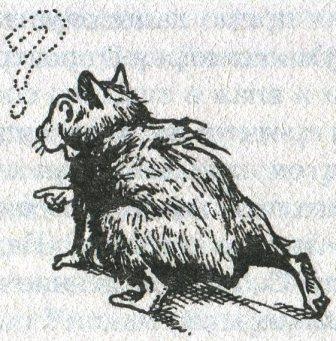 Иллюстрация к книге — Фредди и большой шурум-бурум [i_017.jpg]