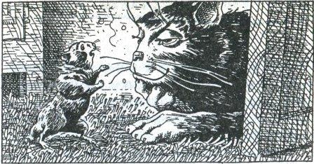 Иллюстрация к книге — Фредди и большой шурум-бурум [i_018.jpg]