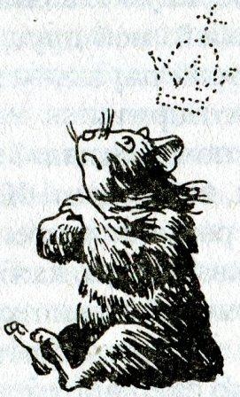 Иллюстрация к книге — Фредди и большой шурум-бурум [i_021.jpg]