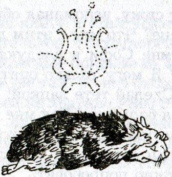 Иллюстрация к книге — Фредди и большой шурум-бурум [i_025.jpg]