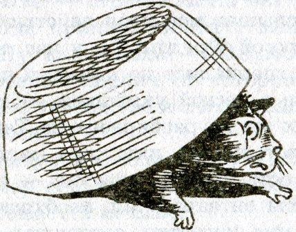 Иллюстрация к книге — Фредди и большой шурум-бурум [i_029.jpg]