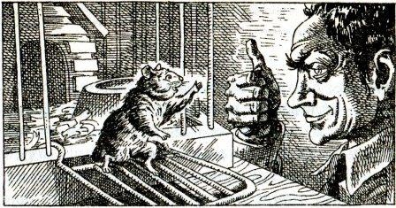 Иллюстрация к книге — Фредди и большой шурум-бурум [i_032.jpg]