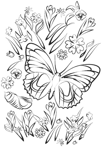 Иллюстрация к книге — Академия идеального веса [i_008.jpg]