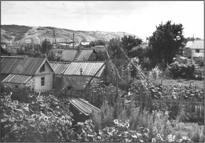 Иллюстрация к книге — «Государство – это мы! Род Лузиковых» [i_025.jpg]