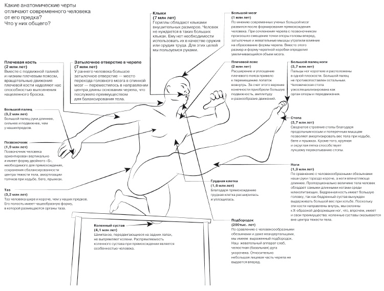 Иллюстрация к книге — Европейское исследование. Бады, витамины, ГМО, биопродукты [i_001.jpg]